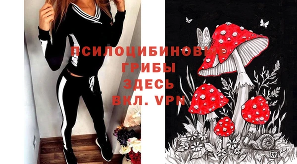 первитин Бородино