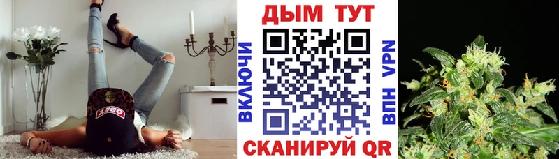 мега онион  Новый Оскол  Канабис Amnesia  цена  